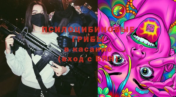 скорость Пестово