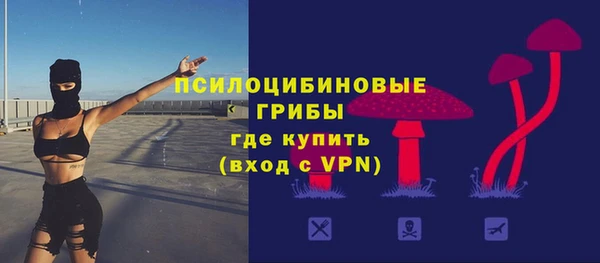 эйфоретик Пересвет