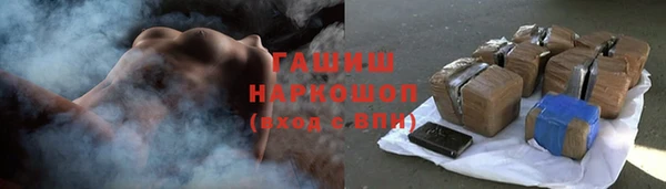 дживик Ельня