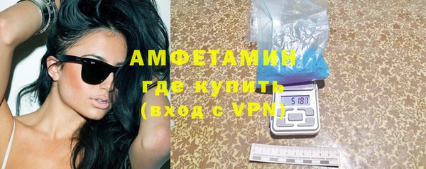 сатива Елабуга
