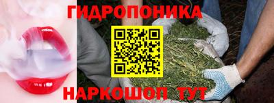 СК Гусь-Хрустальный