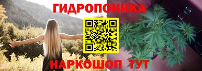 СК Гусь-Хрустальный
