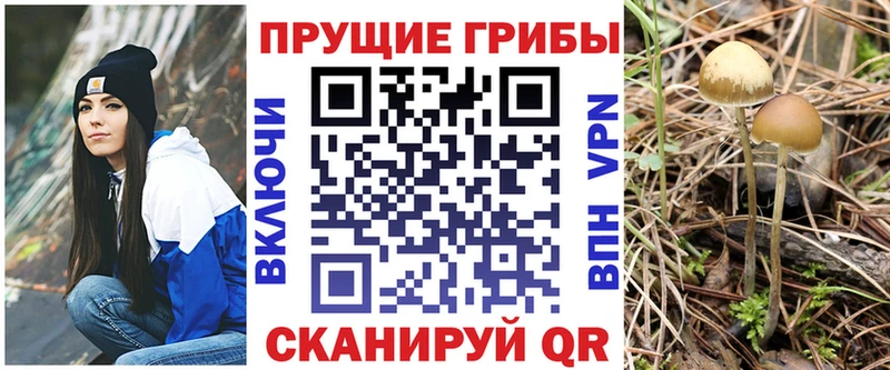 Псилоцибиновые грибы ЛСД Кизляр